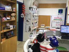 -佩兹宠物医院肿瘤专科·眼科·牙科(黄浦店)