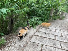 -北京凤凰岭
