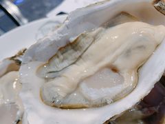 -千岛蚝高压锅生蚝·人参火锅(白云万达店)