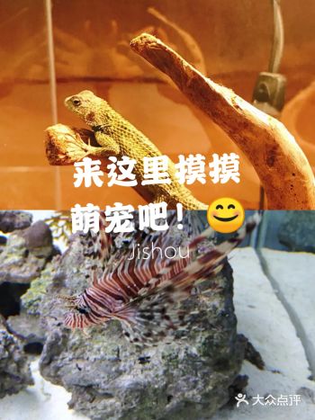 夏天就应该和萌宠有个亲密接触