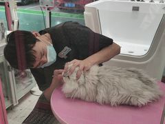 -FAELING PETS美天灵宠物(合生汇店)