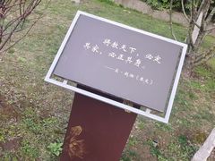 -莲湖公园