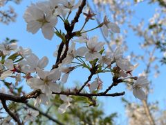 -西北湖绿化广场