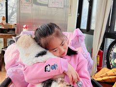 -猫小院猫主题餐厅(南锣旗舰店)