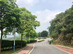-火炉山森林公园