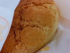 -洪九公(田子坊店)