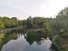-尚贤河湿地