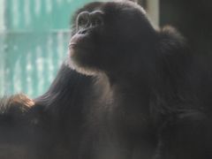 -秦皇岛野生动物园