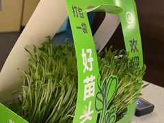 -海底捞火锅(世界城广场店)