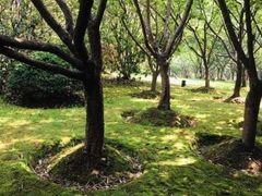 -苏州河梦清园环保主题公园