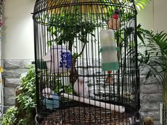 -丽江庭院之丽江往事(安定门店)