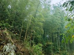 -水墨汀溪风景区