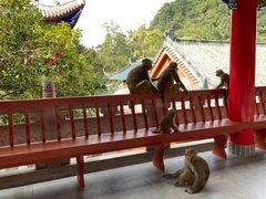 -黔灵山公园