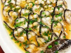 -呼吸森林·生态农庄农家乐私房菜