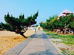 -北戴河碧螺塔海上酒吧公园