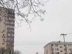 -北京市海淀实验中学(紫竹院路校区)