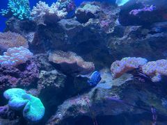 -大连老虎滩海洋公园