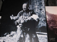 -侵华日军南京大屠杀遇难同胞纪念馆
