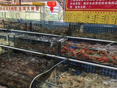 -板桥海鲜广场(文明东店)