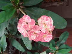 -万达影城(世茂海峡广场IMAX店)