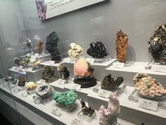 -湖南省地质博物馆