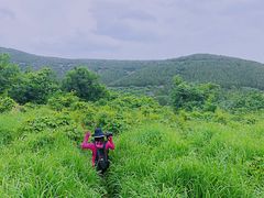 -龙洞风景区-藏龙涧