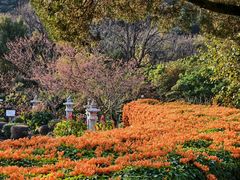 -灵光寺