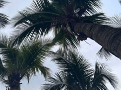 -碧桂园十里银滩