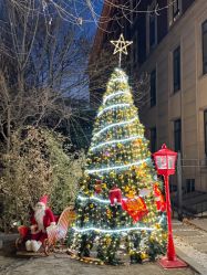 -米莱摄影写真(五大道别墅店)