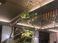 -臻品足道(佛祖岭店)