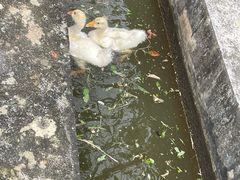 -广州神农草堂中医药博物馆