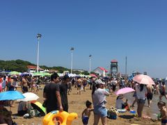 -碧海金沙