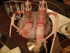 -斯普汇生蚝牛排馆(中骏世界城店)