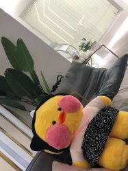 -休美安专业皮肤修复管理中心