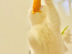 -瑞幸咖啡(凯德虹口龙之梦店)