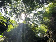 -安溪清水岩