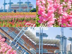 -海心沙亚运公园