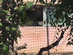 -青藏高原野生动物园