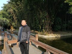 -望江楼公园