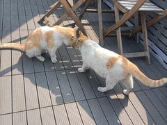 -前叁門