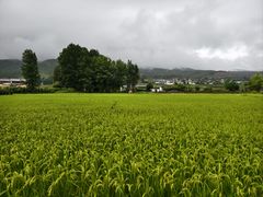 -太婆天府山珍酒楼(亚运村店)