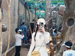 -辛玛王国游乐园