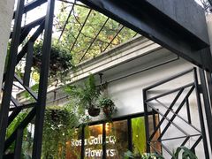 -% Arabica阿拉比卡咖啡(武康路店)