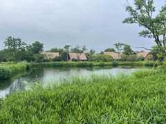 -良渚古城遗址公园