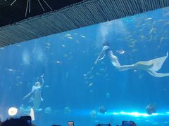 -华夏文旅海洋公园