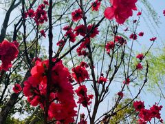 -无锡市市民中心