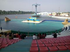 -秦皇岛乐岛海洋王国