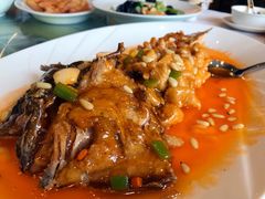 松鼠鸦片鱼-万宝海鲜舫(劳动公园店)