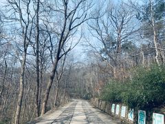 -紫金山山顶公园