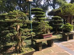 -南山植物园